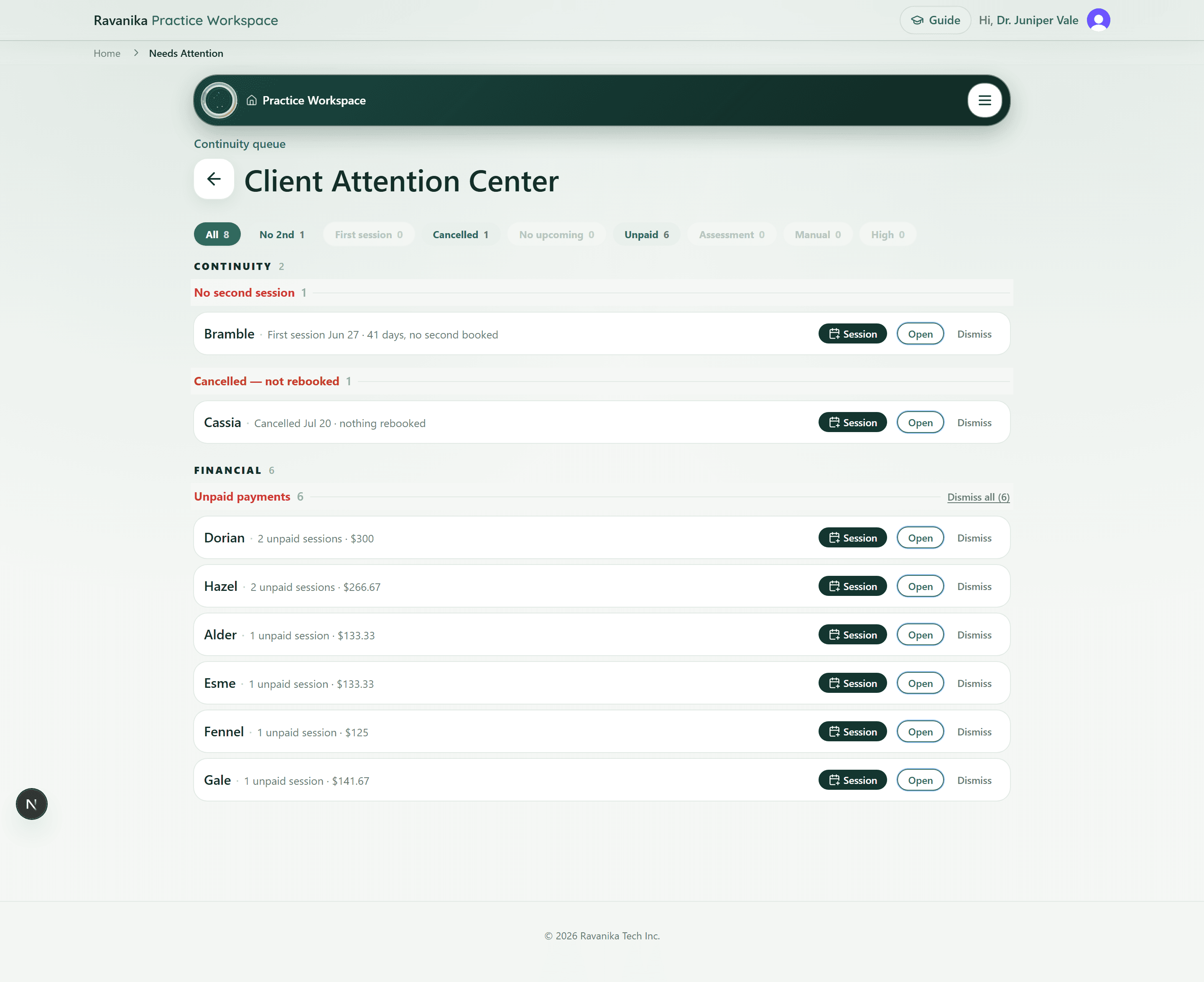 The Client Attention Center listing clients grouped by continuity and financial signals, each with a plain-language reason such as first session, no second booked, or cancelled and nothing rebooked.
