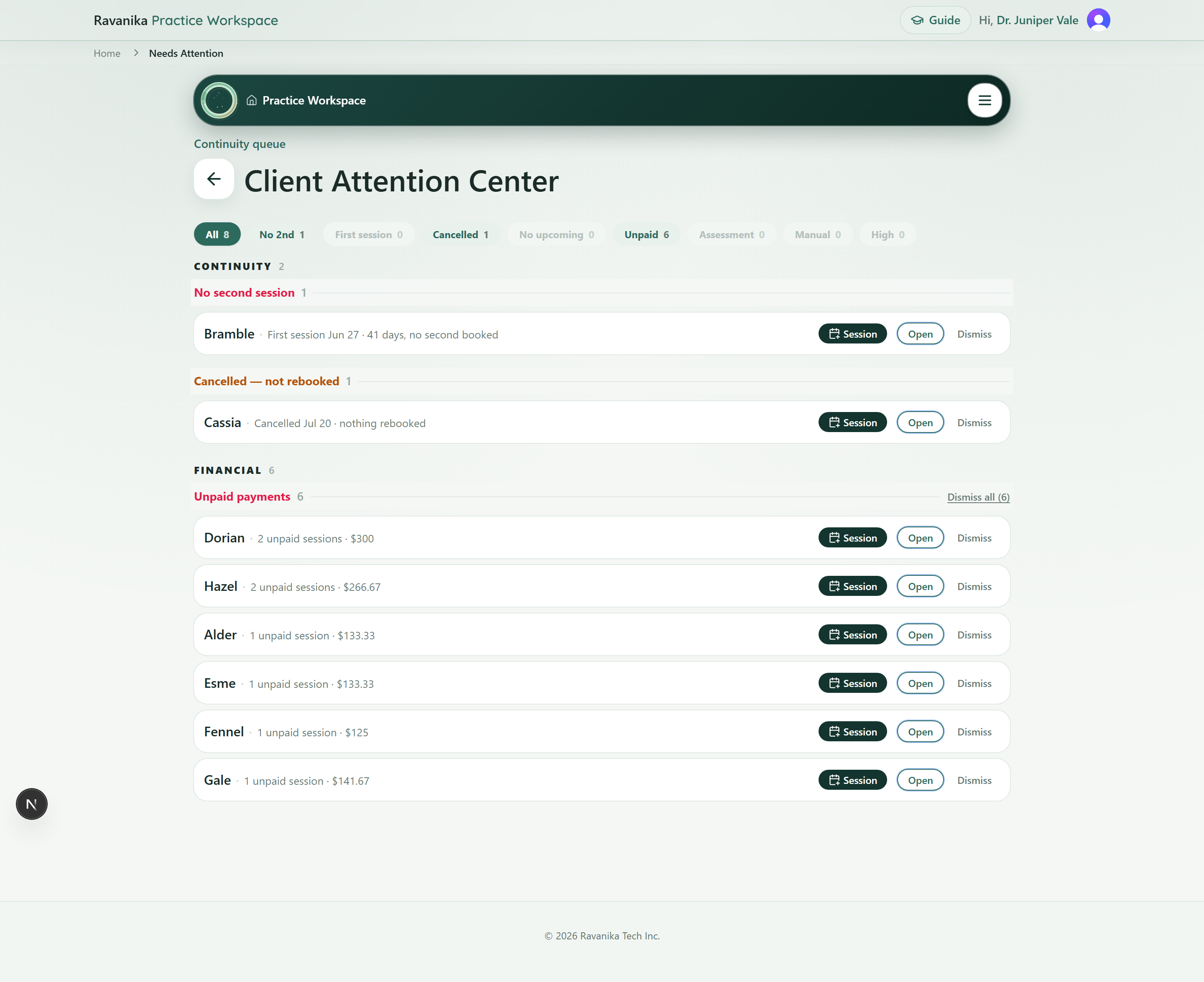 The Client Attention Center listing clients grouped by continuity and financial signals, each with a plain-language reason such as first session, no second booked, or cancelled and nothing rebooked.